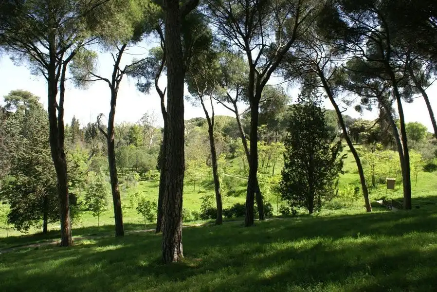 Jardí de Finca rústica en venda en Villaviciosa de Odón amb Aire condicionat, Calefacció i Jardí privat