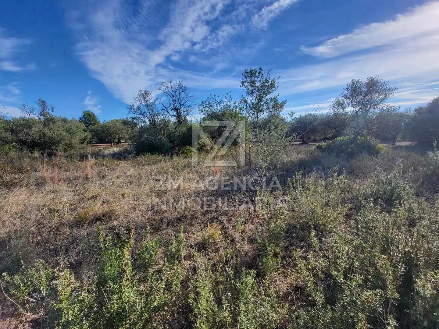 Casa rústica en venta en Traiguera, imagen 9