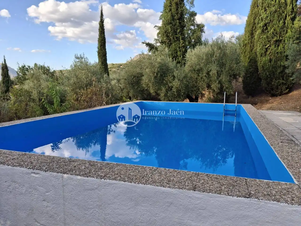 Piscina de Casa o chalet en venta en Los Villares con Jardín privado, Terraza y Piscina