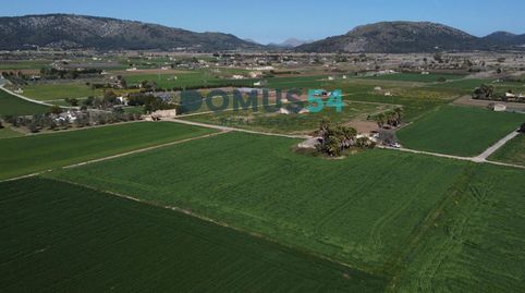 Finca rústica en Sa Pobla, immagine 5