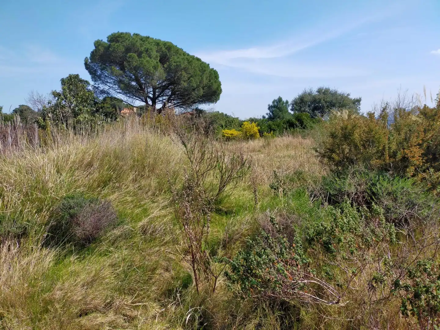 Residential for sale in Riells i Viabrea