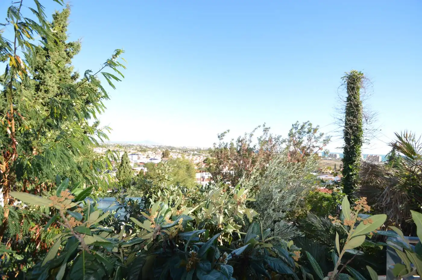 Detached house with garden for sale in Carretera de ľ Estación, imagen 11