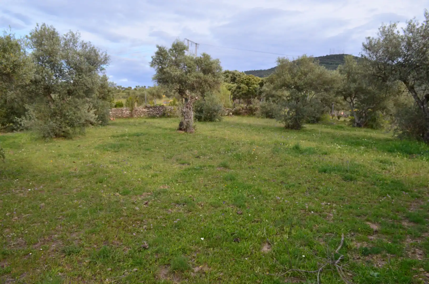 Terreni e lotti in vendita a Zona Sur - Av. de España - San Miguel, imagen 12