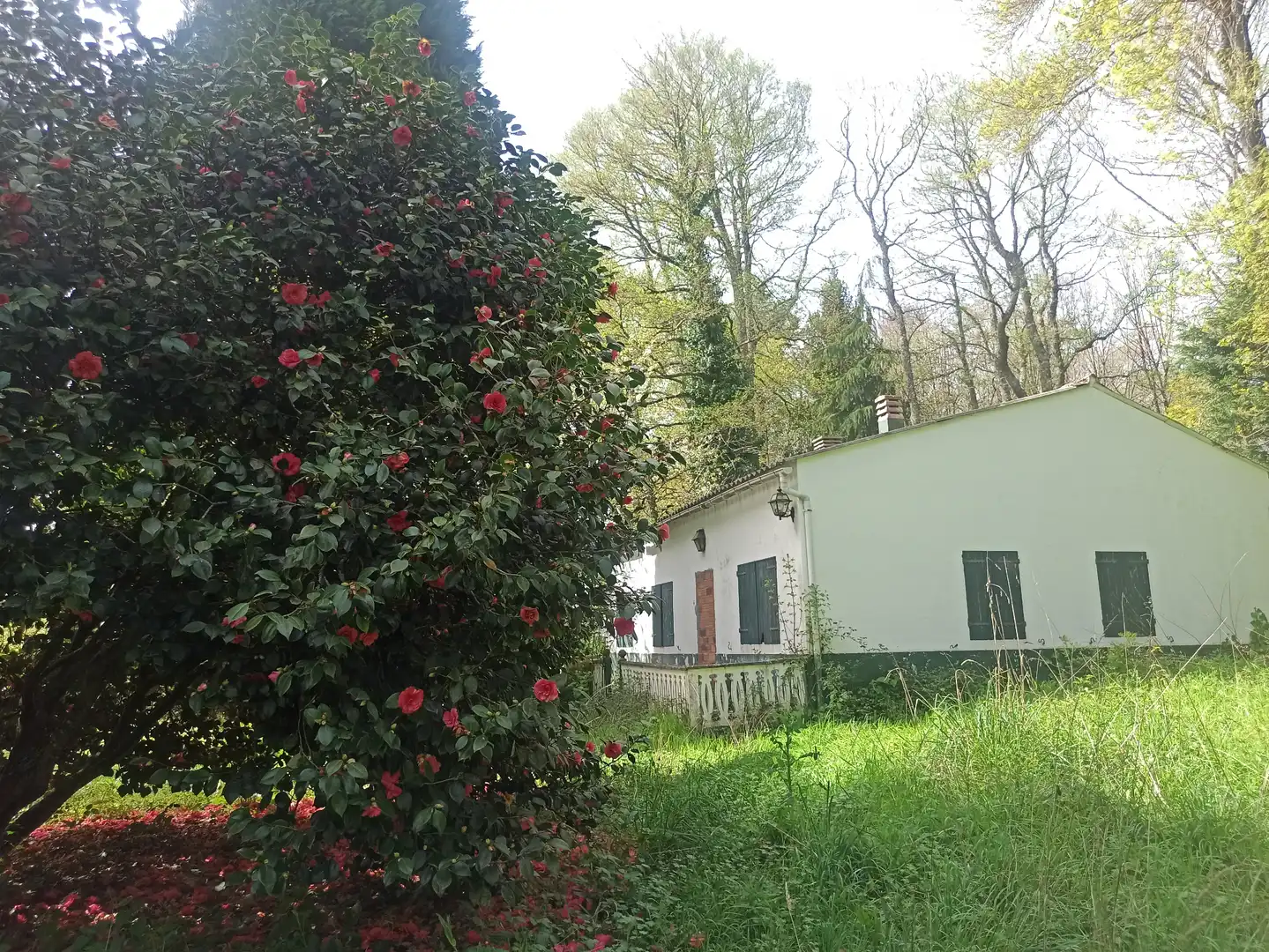 Terreni e lotti in vendita a Parroquias del Este