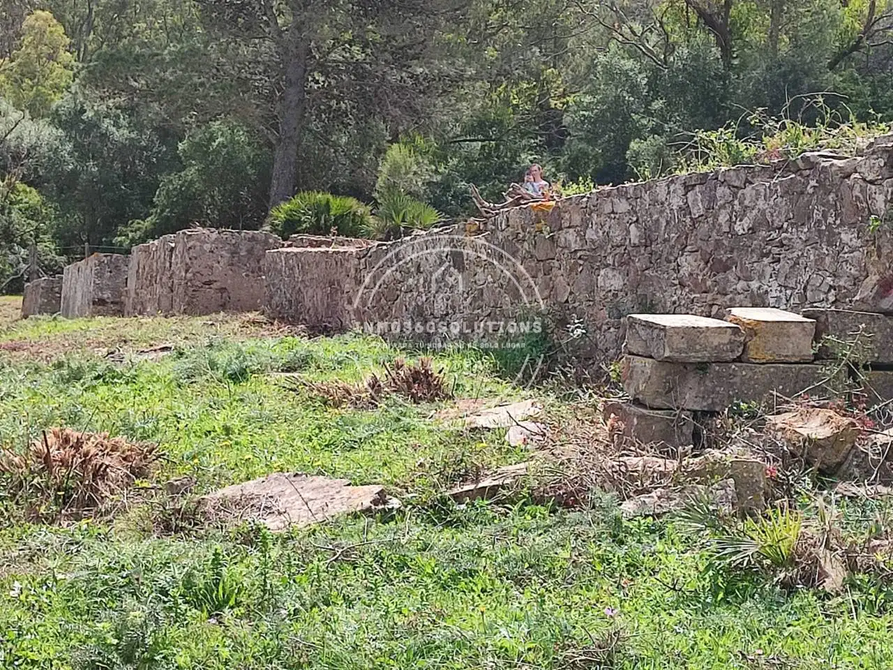 Terreno rustico in vendita a Tarifa ciudad, imagen 12