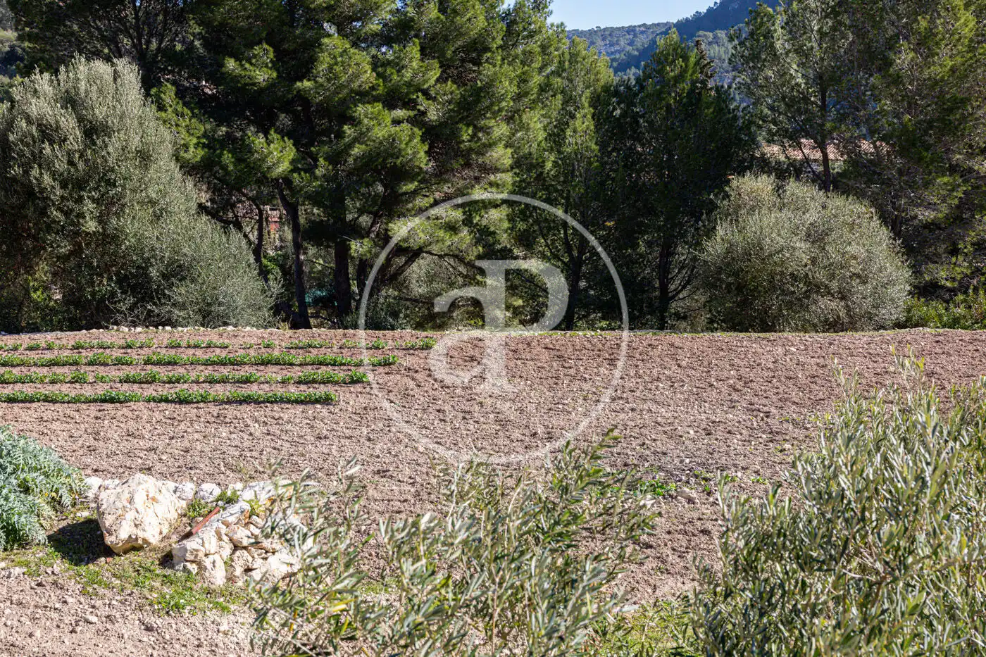 Residential for sale in Puigpunyent