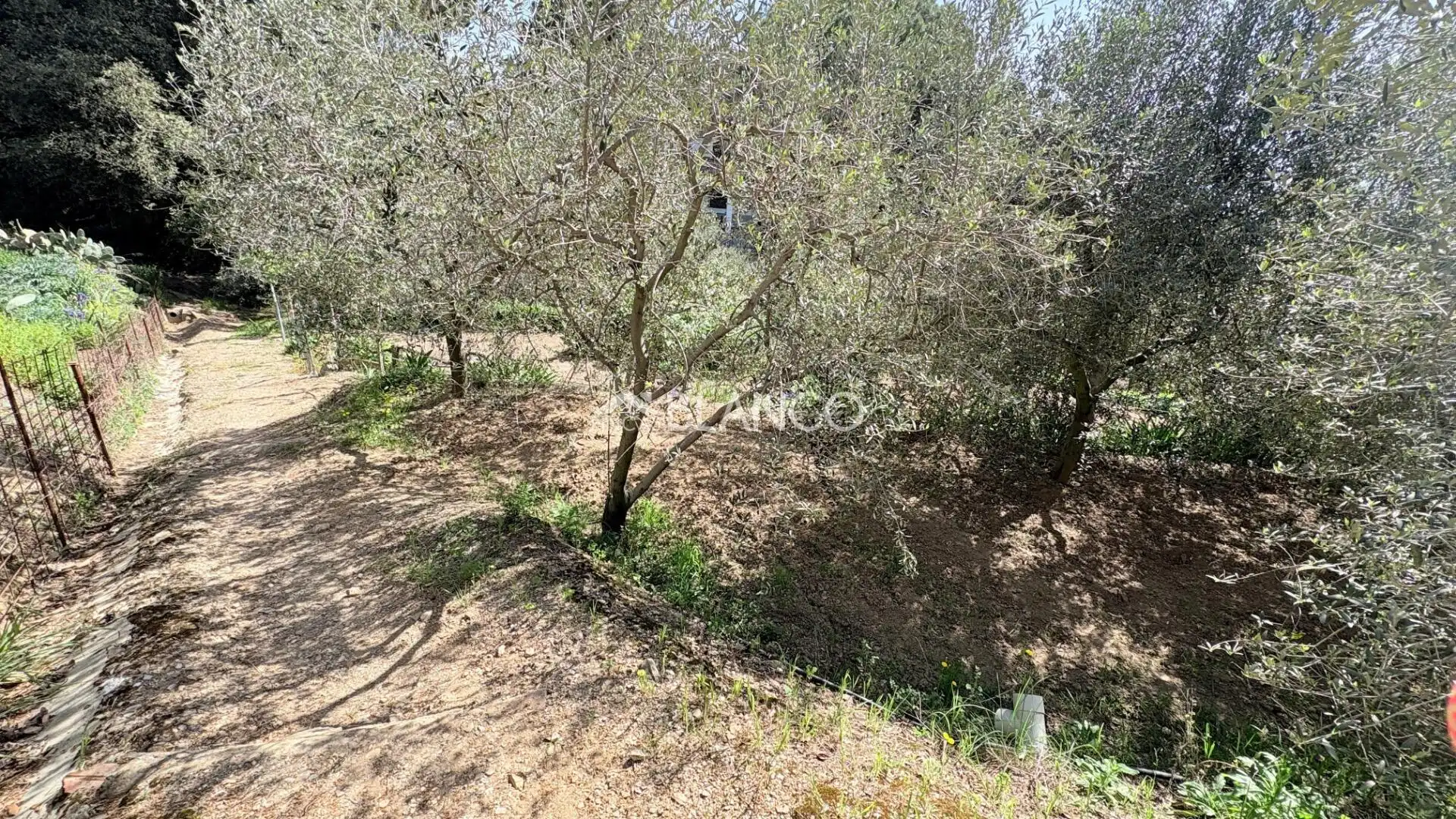 Casa o xalet en venda en Piera amb Jardí privat