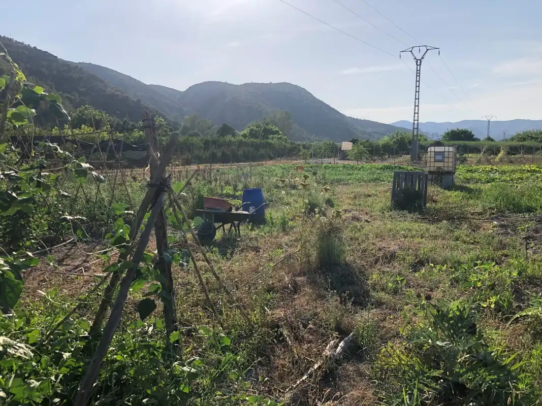 Terreno en venta en Gandia