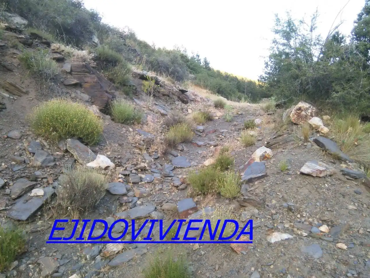 Terreni e lotti in vendita a Nevada, imagen 3
