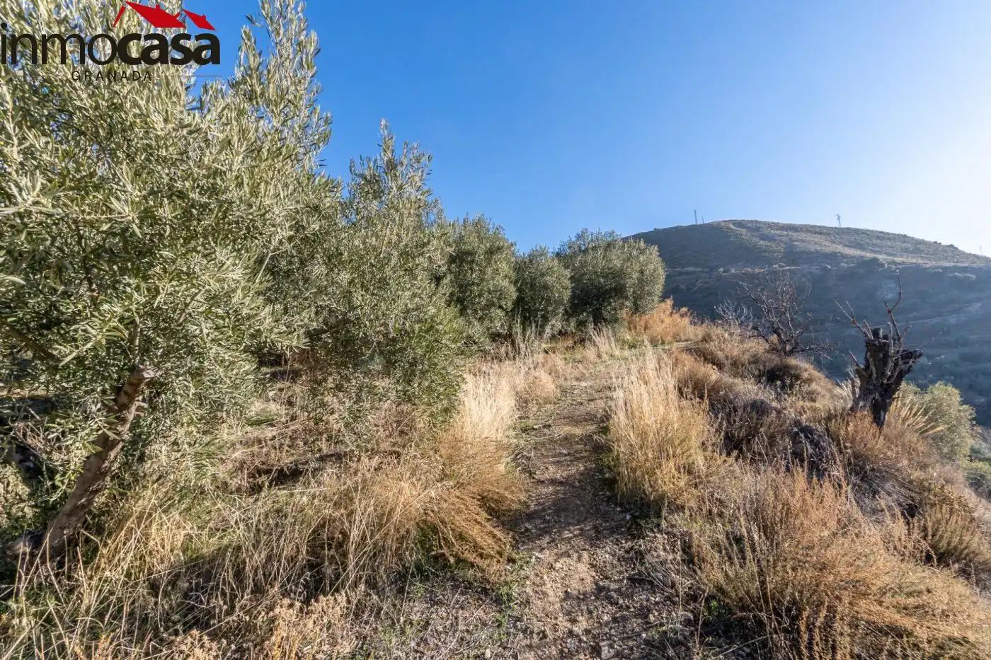 Finca rústica en venda a Polígono PARAJE DE LA HOYA, Güéjar Sierra