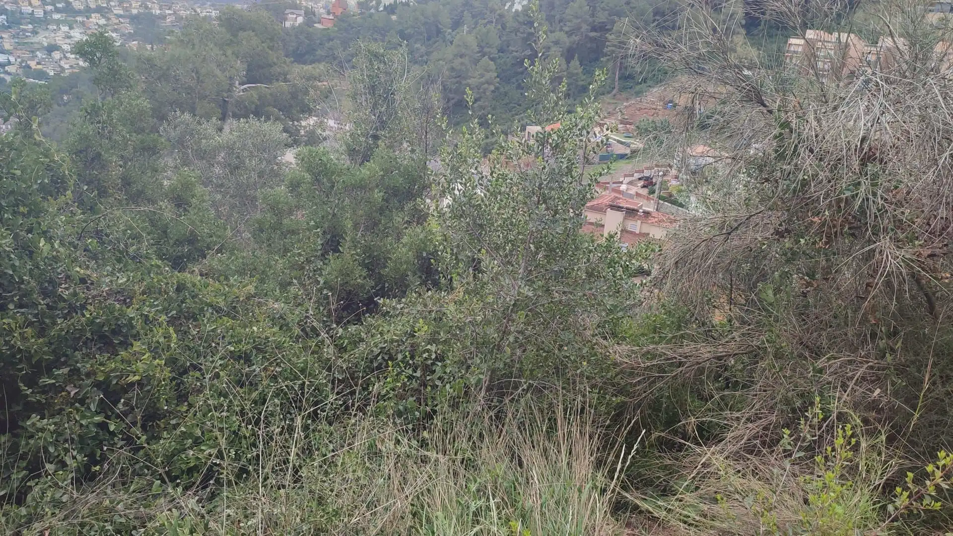 Lands and plots for sale in Vallirana, imagen 5