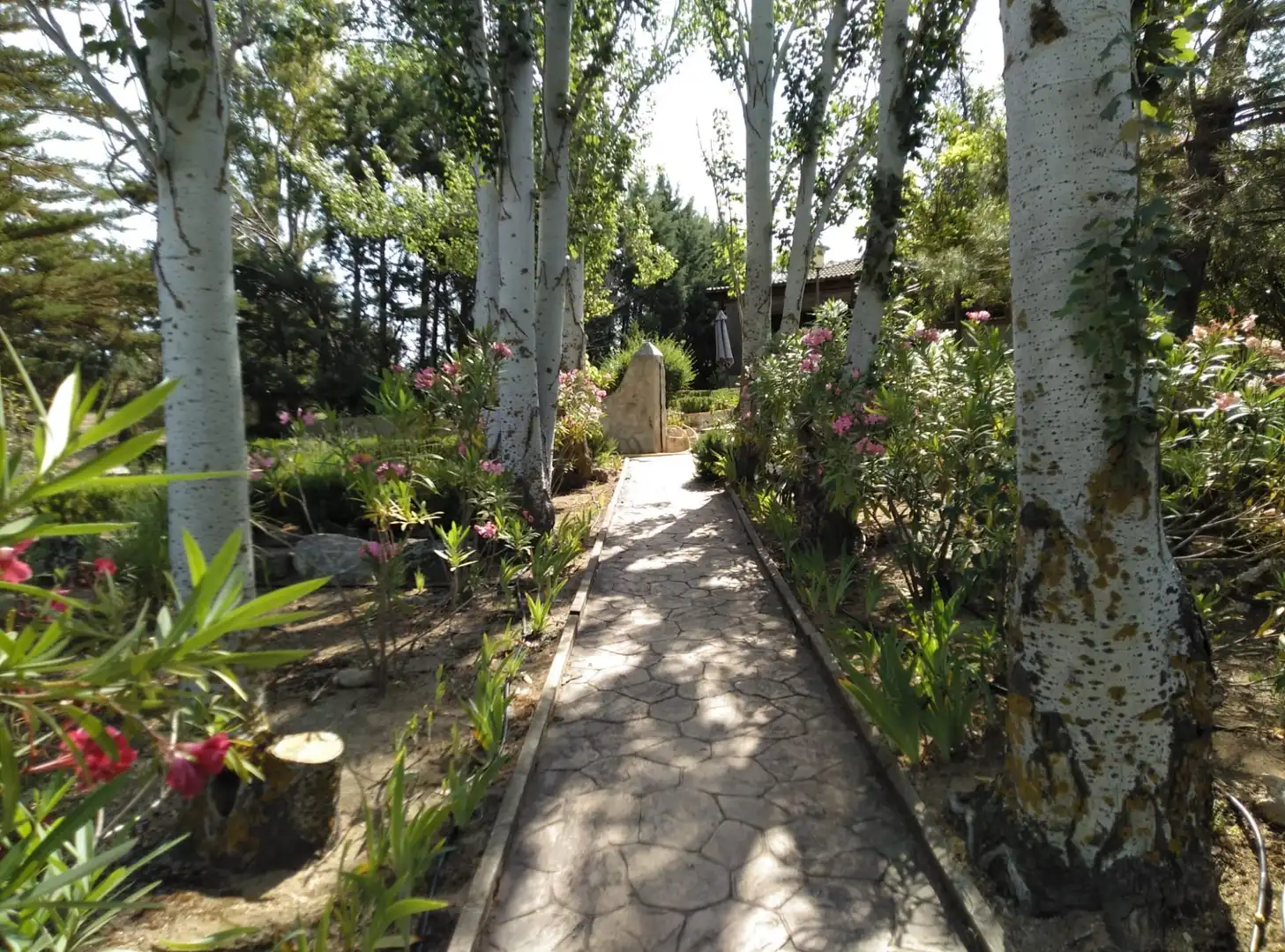 Chalet en venta en CERRO PALOS poligono 45 parcela 63, imagen 67