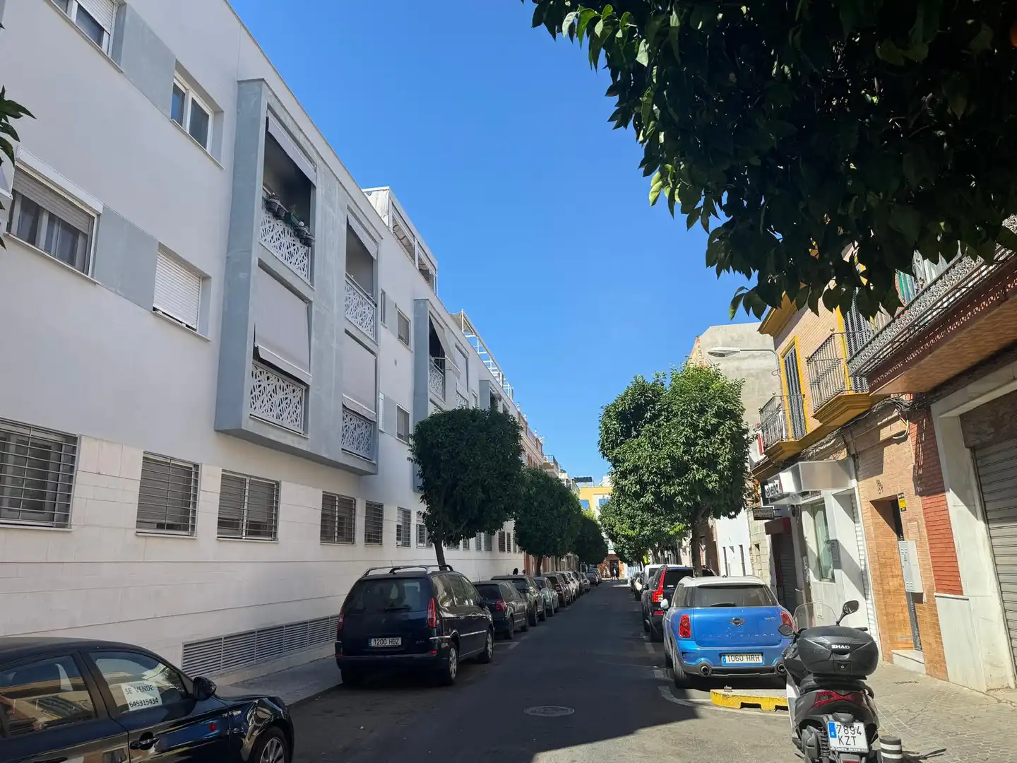 Exterior view of Houses for sale in Sevilla  with Terrace and Balcony
