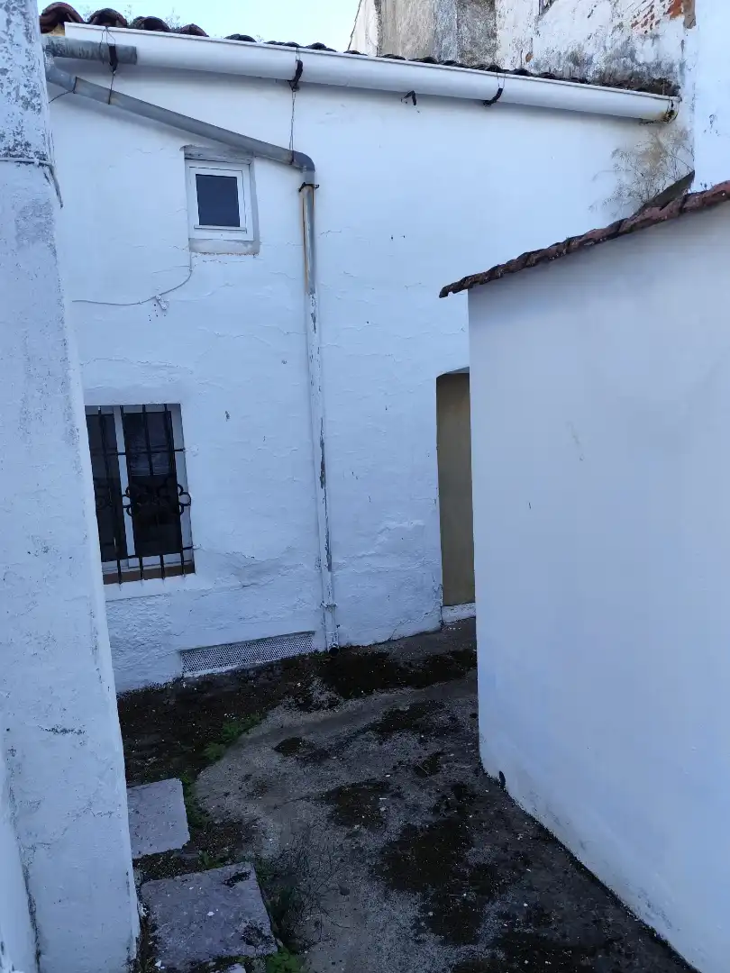 Vista exterior de Casa o chalet en venta en Zafra con Jardín privado