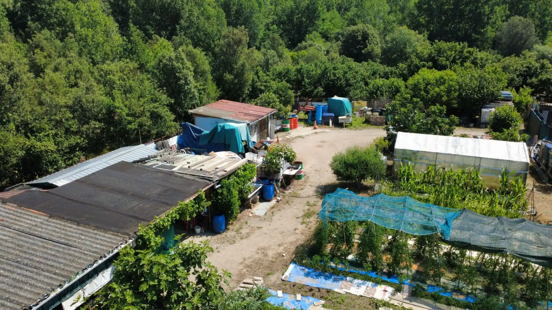 Terrenos y solares en venta en Amer, imagen 6