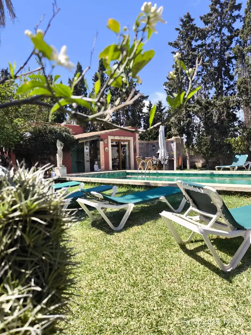 Villa con terrazza in vendita a Poligono, imagen 3