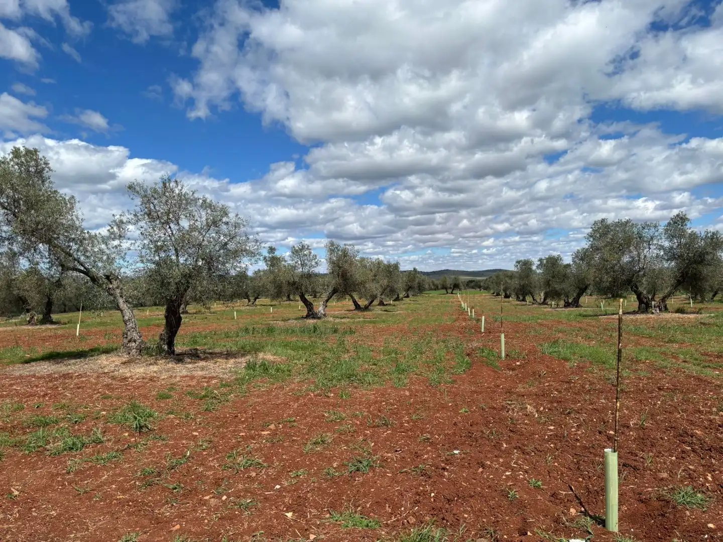 Residential for sale in Ciudad Real