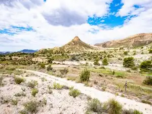Vista exterior de Finca rústica en venta en Agost con Jardín privado, Terraza y Piscina