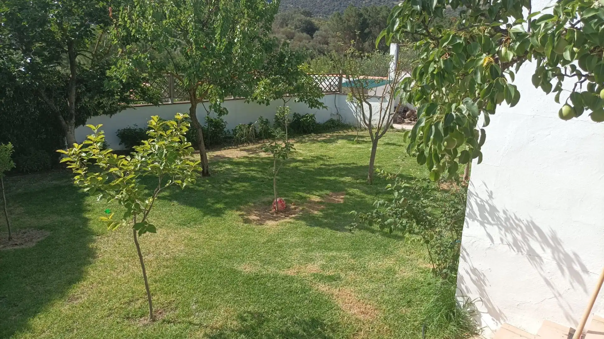 Garden of Country homes for sale in Ronda  with Heating, Private garden and Terrace