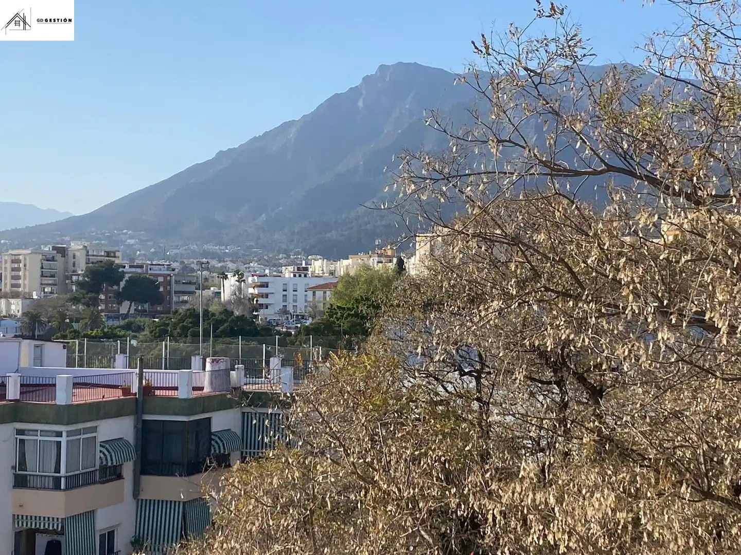 Vista exterior de Piso en venta en Marbella con Terraza