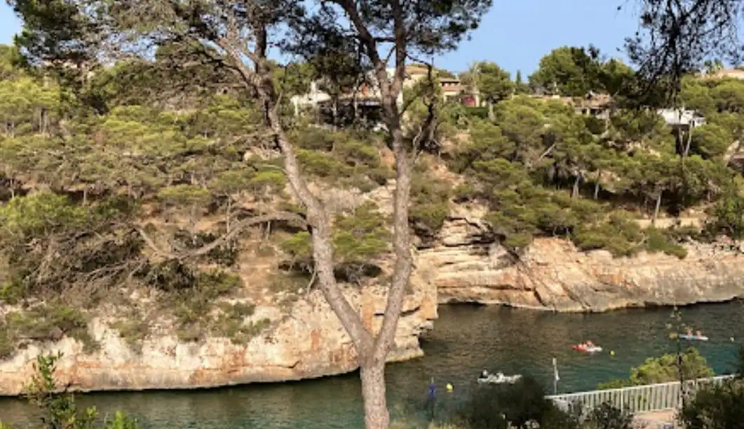 Rustikales Grundstück zum Verkauf in Santanyí Poble, imagen 5