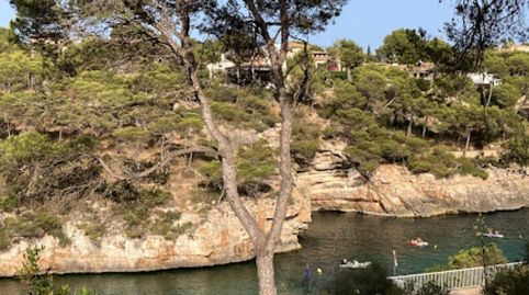 Entre Santanyí y Cala Figuera a 50 m. de la carretera., imatge 5