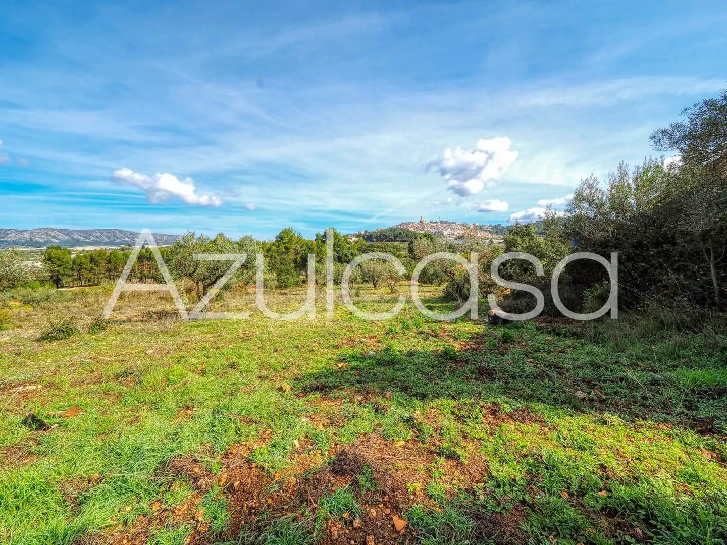 Country homes for sale in Banyeres de Mariola