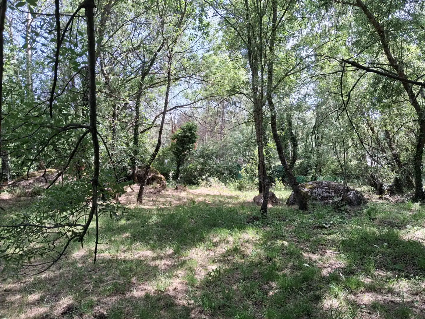 Rural land for sale in Calle del Concejo, imagen 5