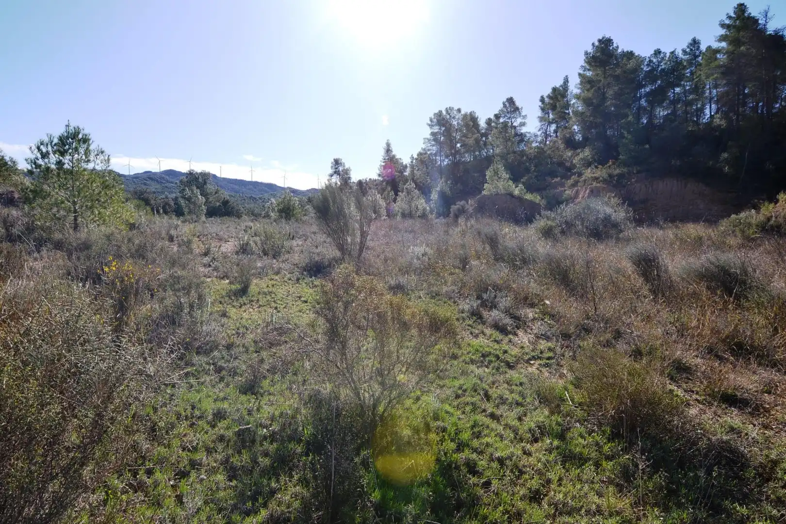 Rural land for sale in Ascó, imagen 37