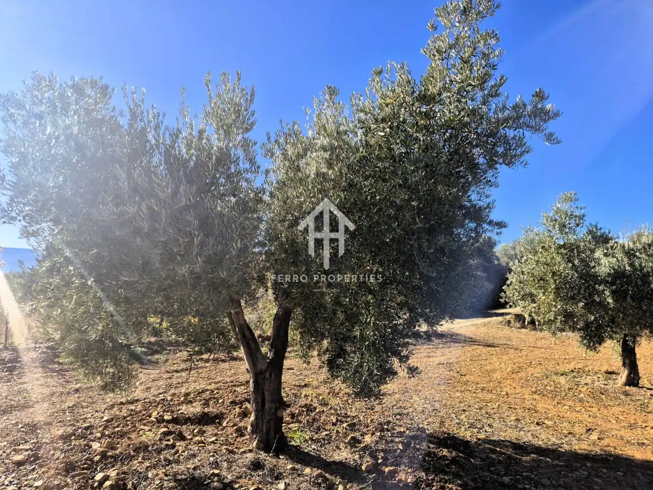 Lands and plots for sale in Lanteira, imagen 30