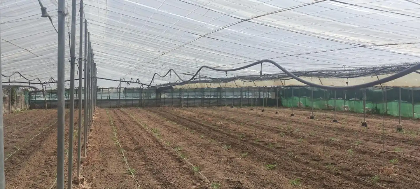 Terreni e lotti in vendita a De La Reyerta, imagen 3