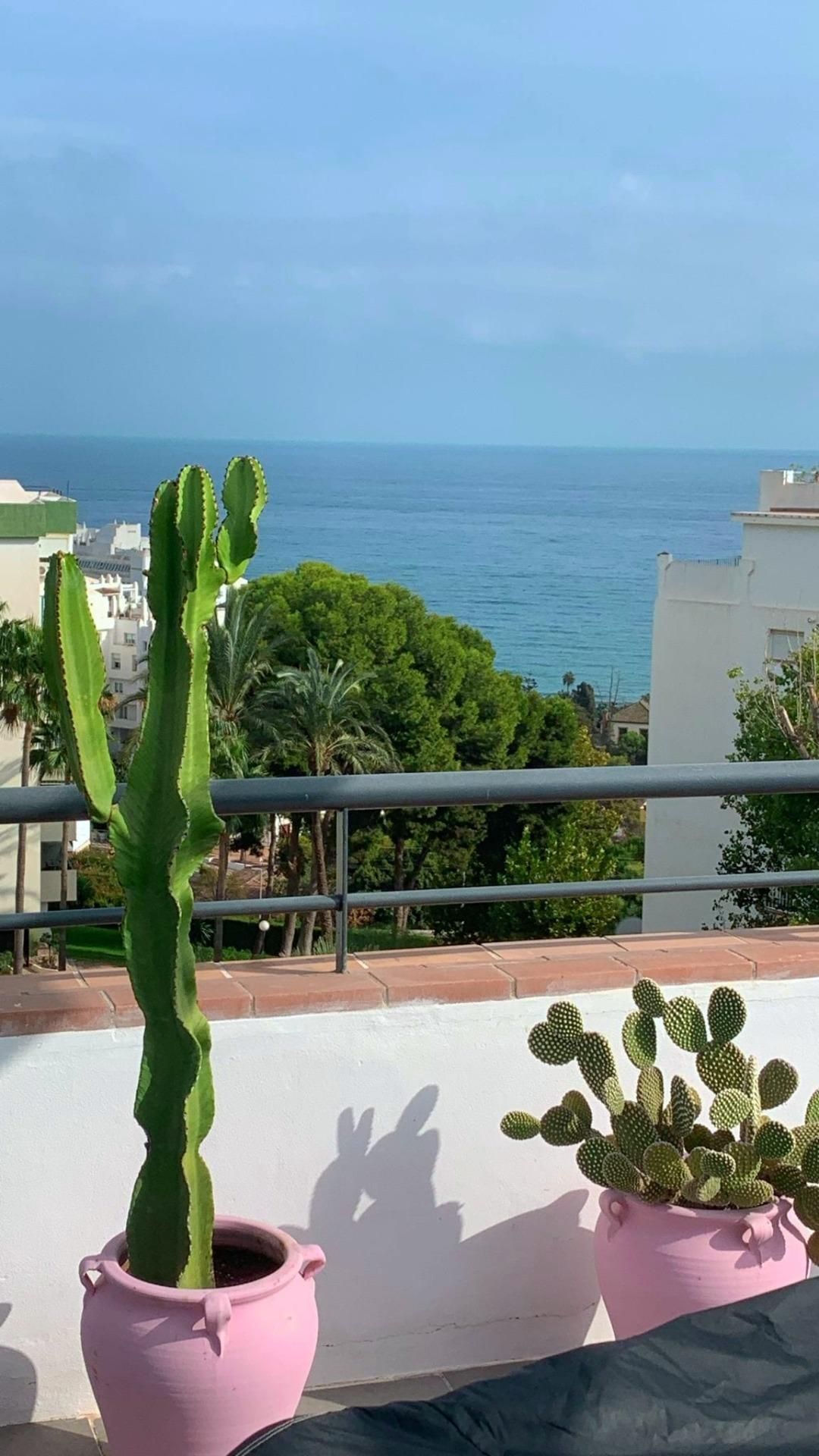 Vista exterior de Àtic en venda en Torremolinos amb Aire condicionat, Terrassa i Traster