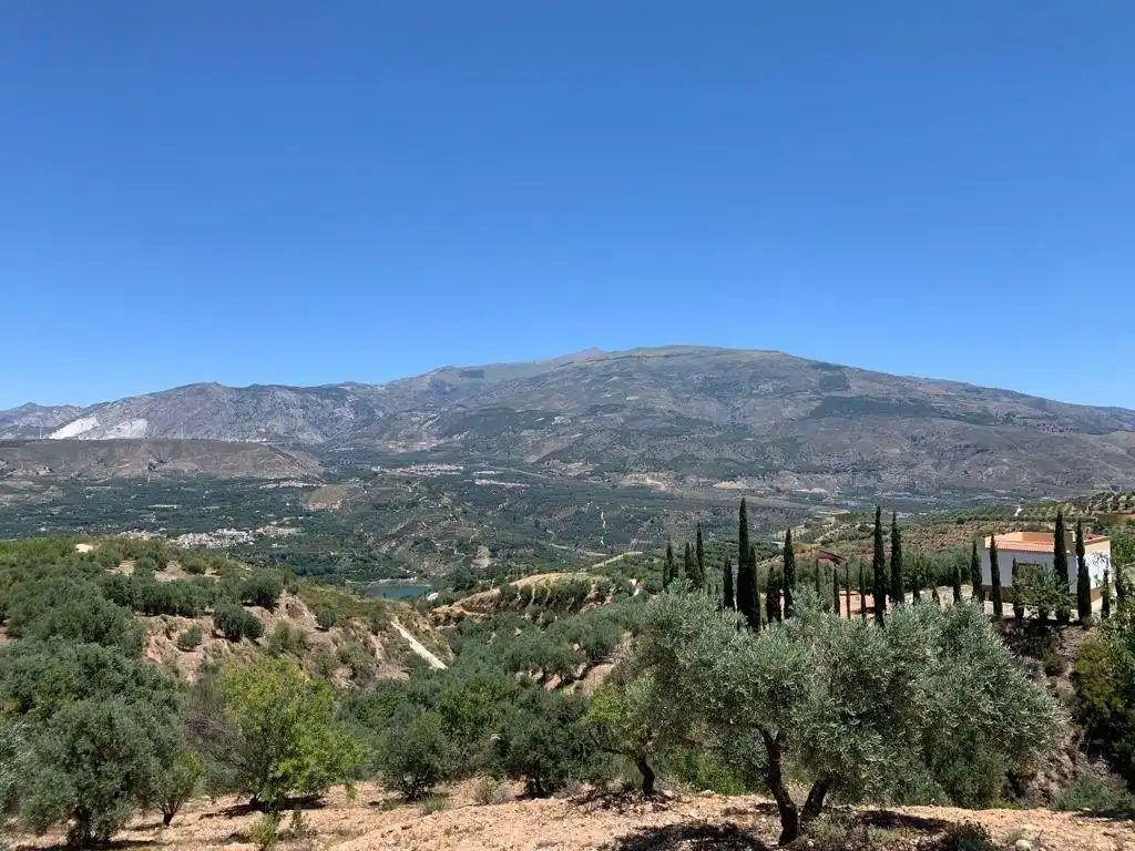 Terreno residencial en venta en Las Flores - Huerta, imagen 13