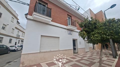 Photo 2 of Premises to rent in Avenida Paz, 29, Palma del Río, Córdoba