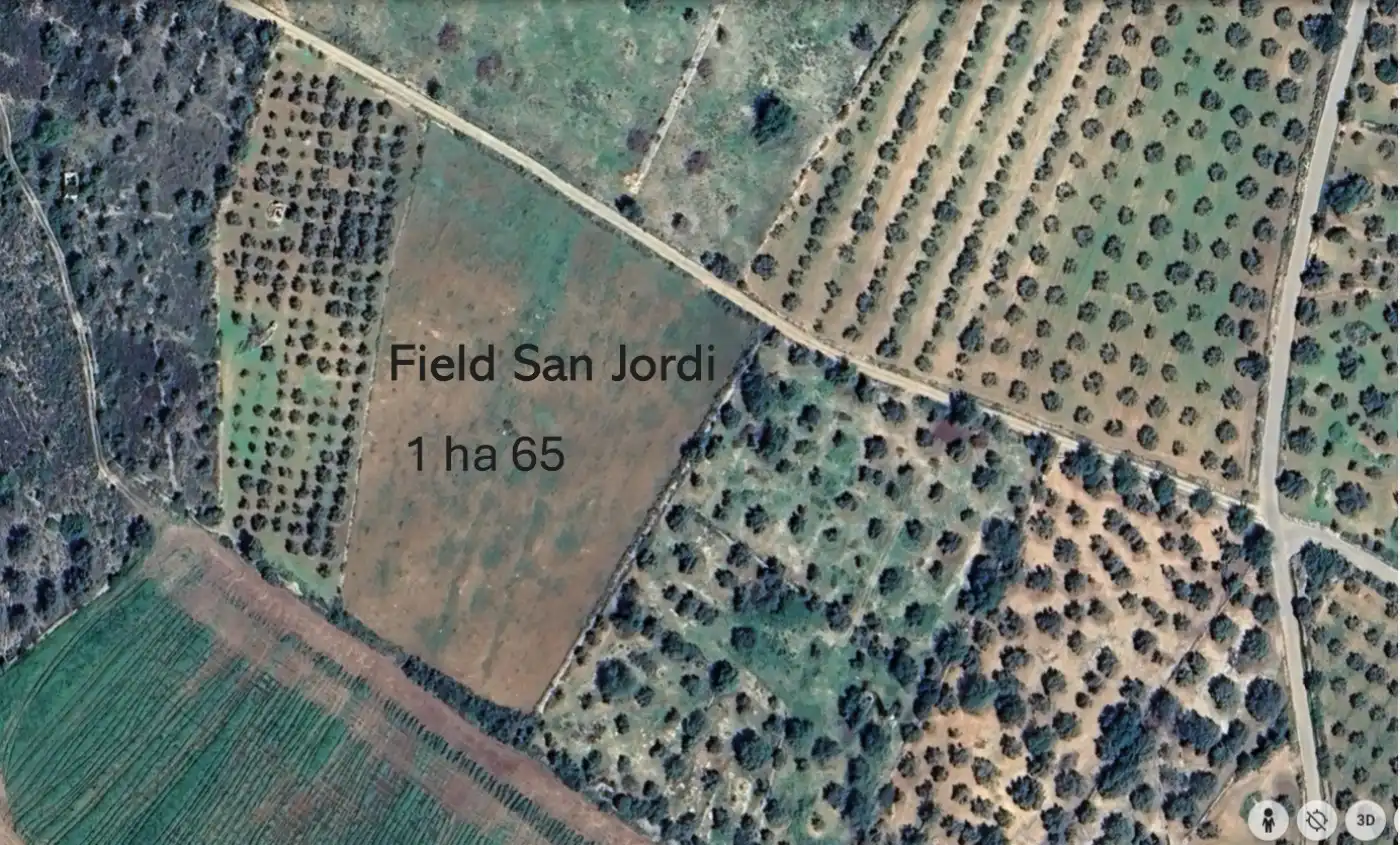 Terreny rústic en venda a San Jorge / Sant Jordi, imagen 3