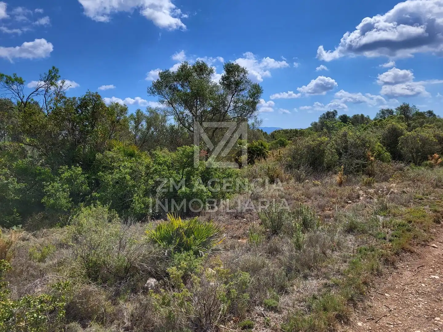 Terreno rustico in vendita a Traiguera, imagen 18