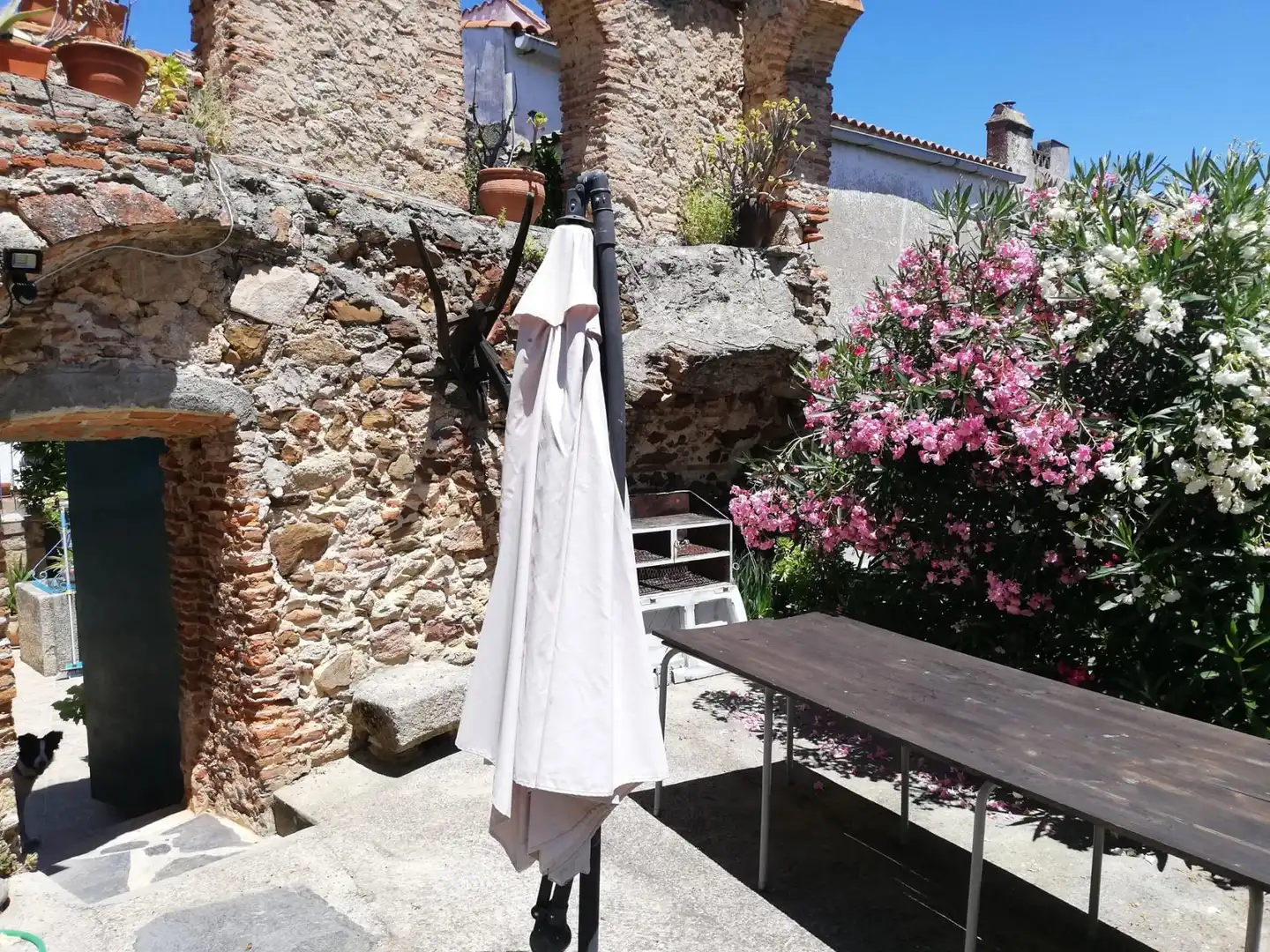 Casa o chalet en venta en Alcuéscar