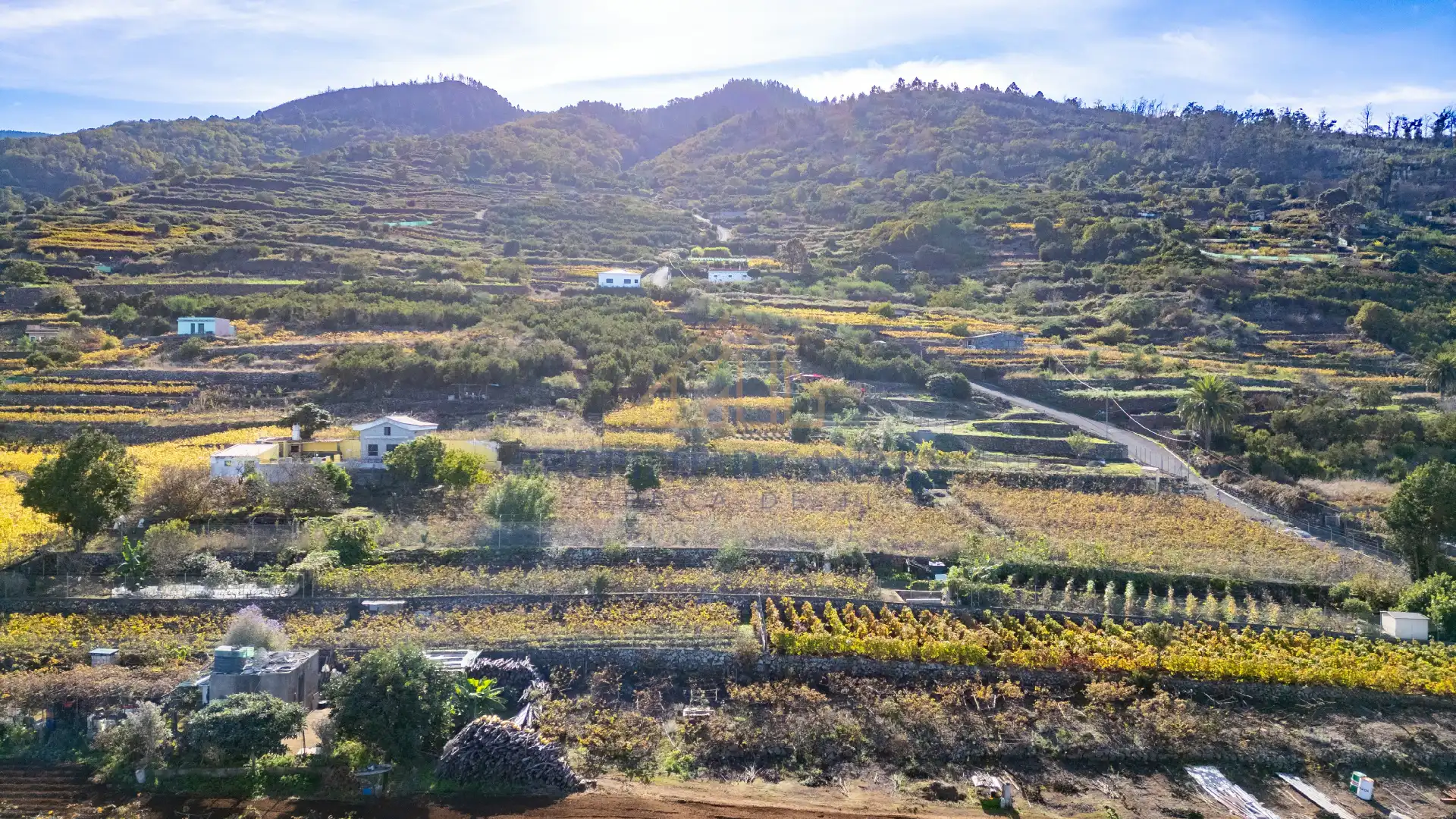 Finca rústica en venda en Santa Úrsula amb Terrassa