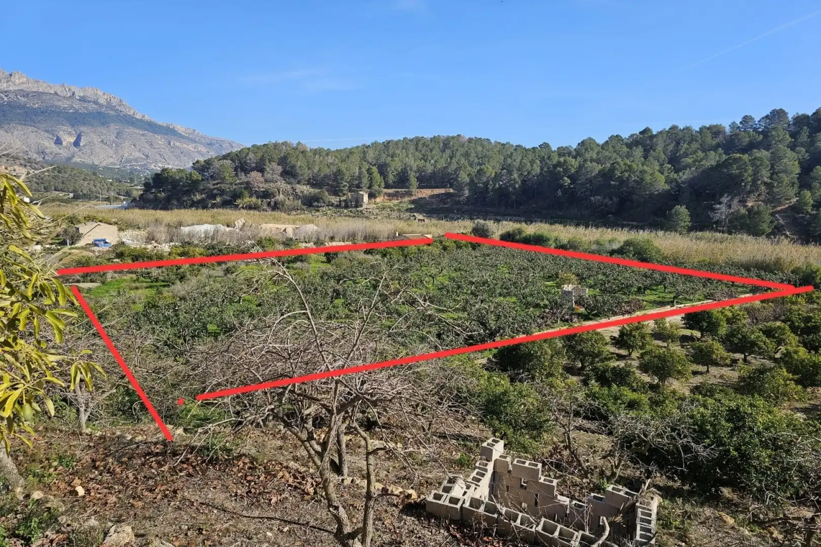 Casa en venda a Callosa d'en Sarrià, imagen 22