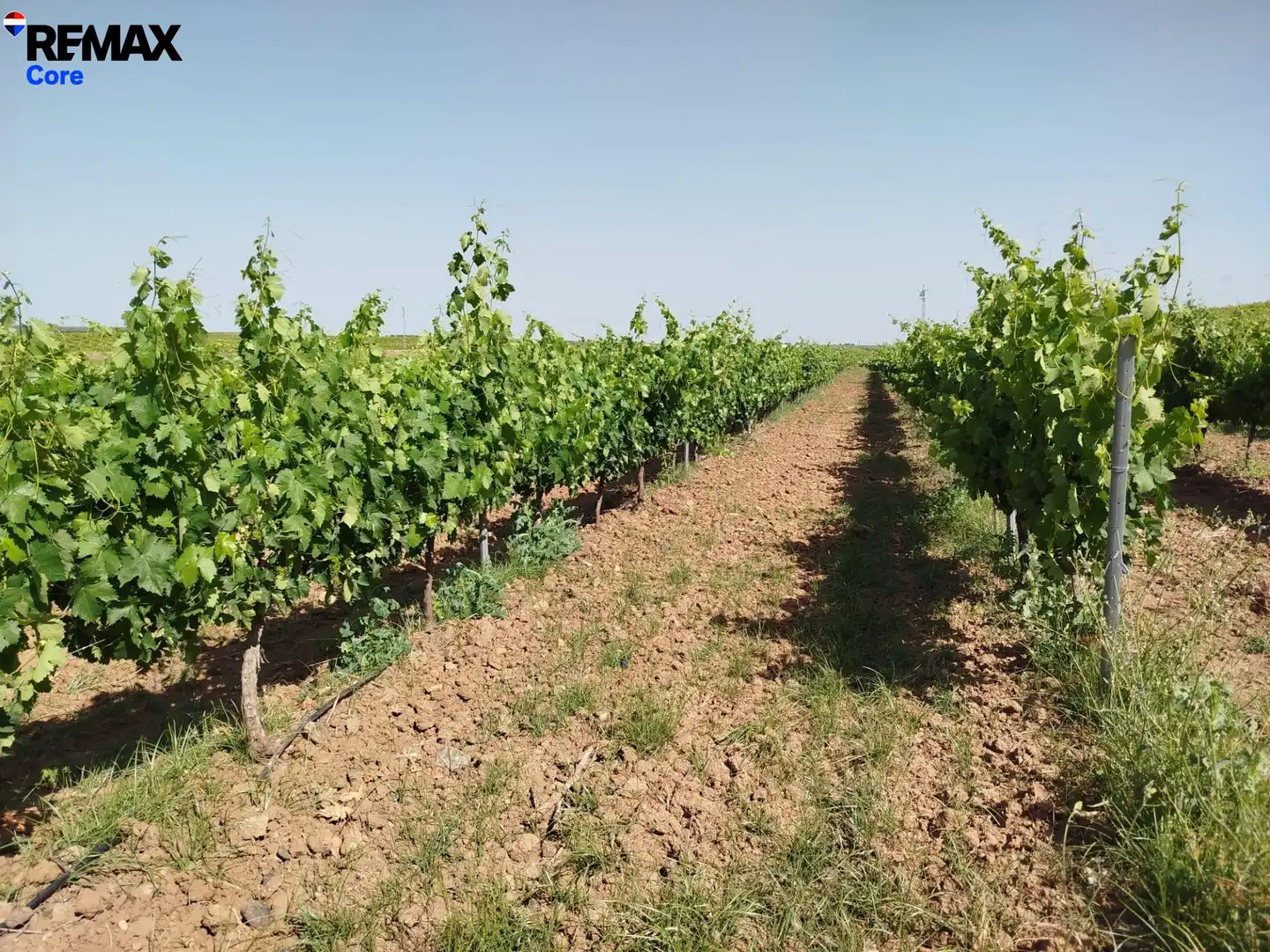 Terreni e lotti in vendita a Carretera de Sevilla - Los Montitos, imagen 2