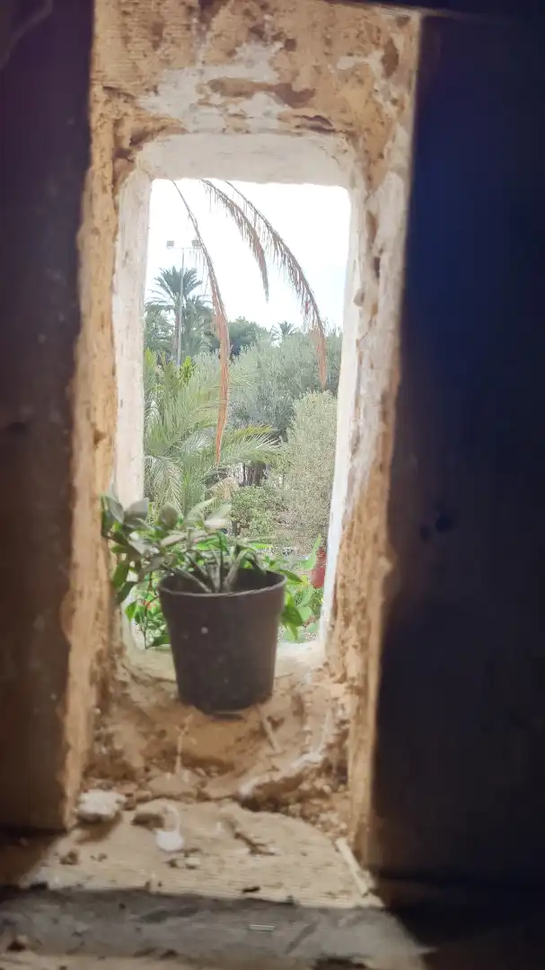 Terrassa de Casa o xalet en venda en Elche / Elx amb Jardí privat, Traster i Moblat