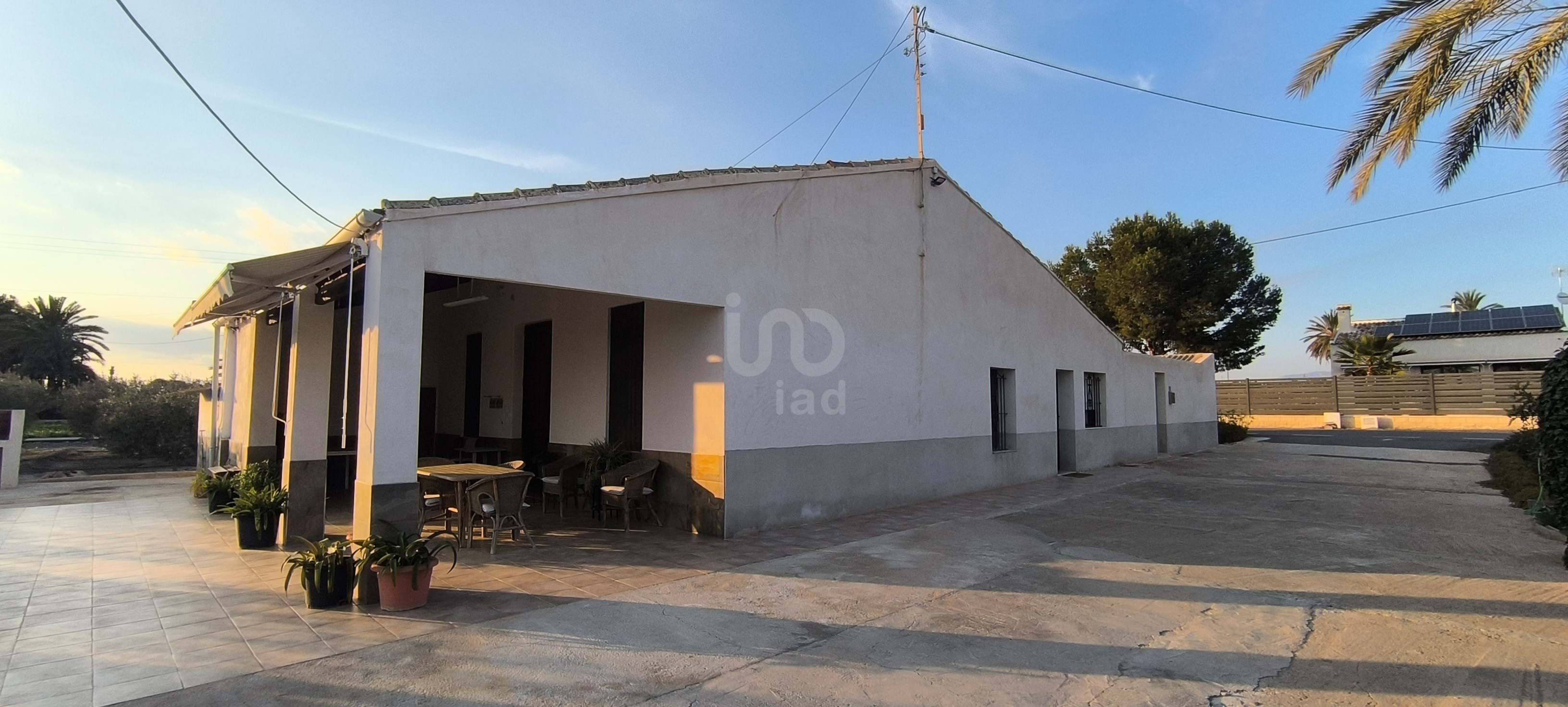 Exterior view of House or chalet for sale in Elche / Elx  with Swimming Pool
