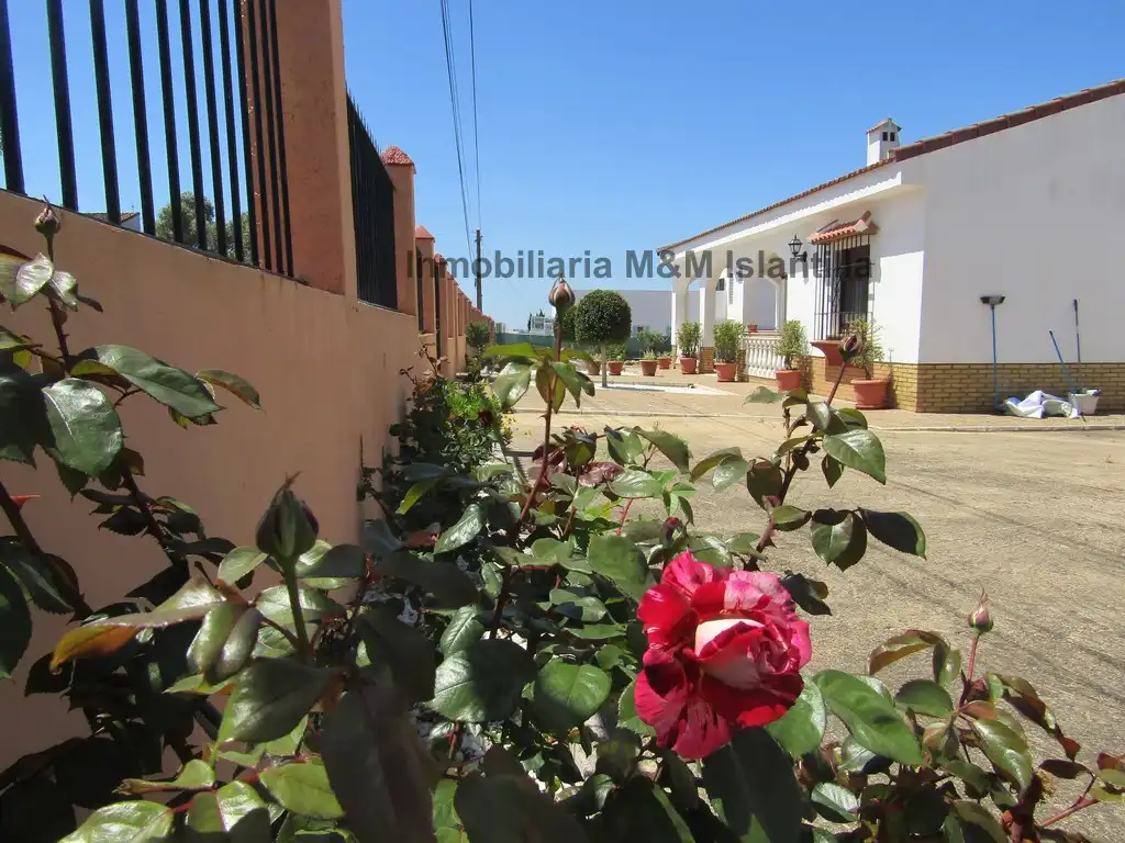 Vista exterior de Casa o chalet en venta en Ayamonte con Jardín privado, Terraza y Amueblado