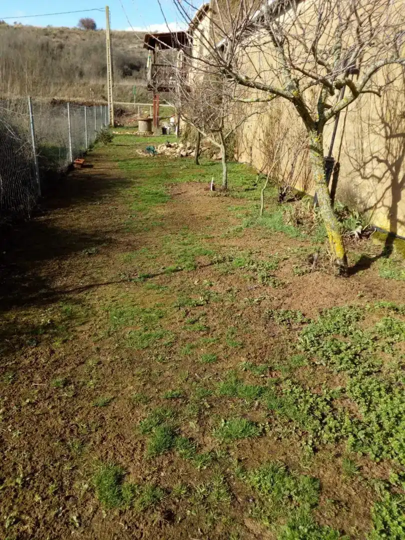 Flat for rent in Gradefes