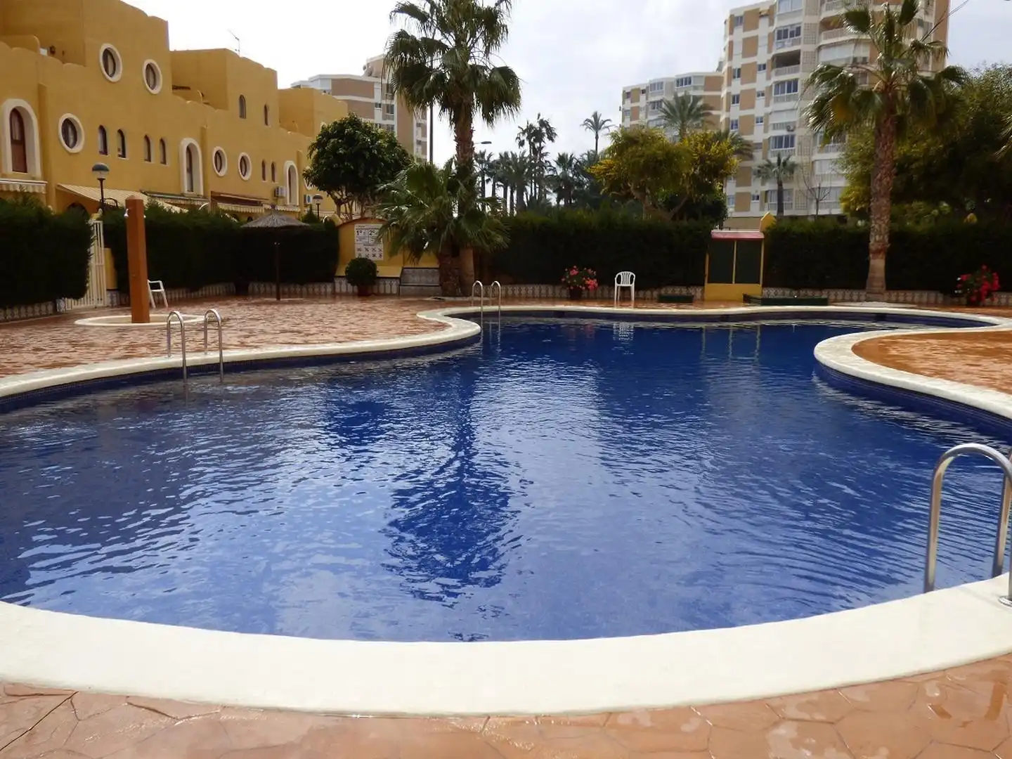 Swimming pool of Houses for rent in El Campello  with Terrace