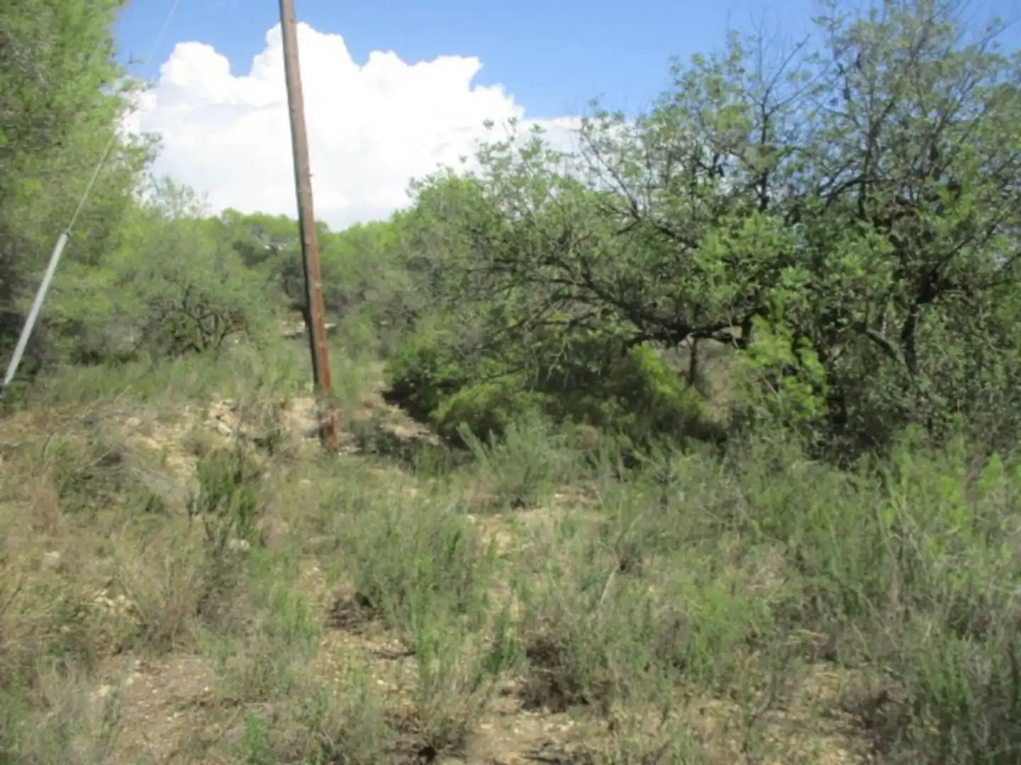 Rural land for sale in Calle Sebastia Riera, imagen 8