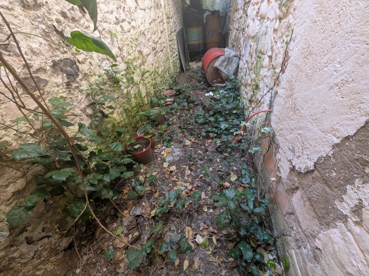 Finca rústica en venta en Sallent