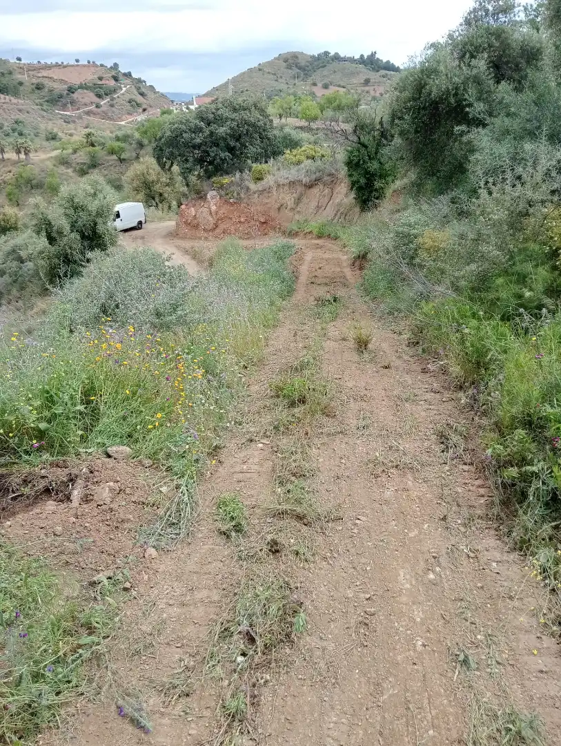 Terreno rustico in vendita a Monda