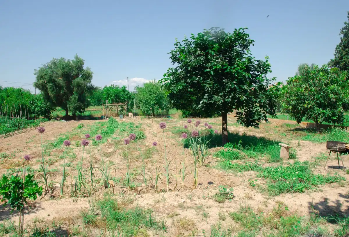 Residencial en venta en Murcia