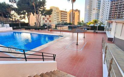 Piscina de Apartament en venda en Benidorm amb Jardí privat i Piscina comunitària